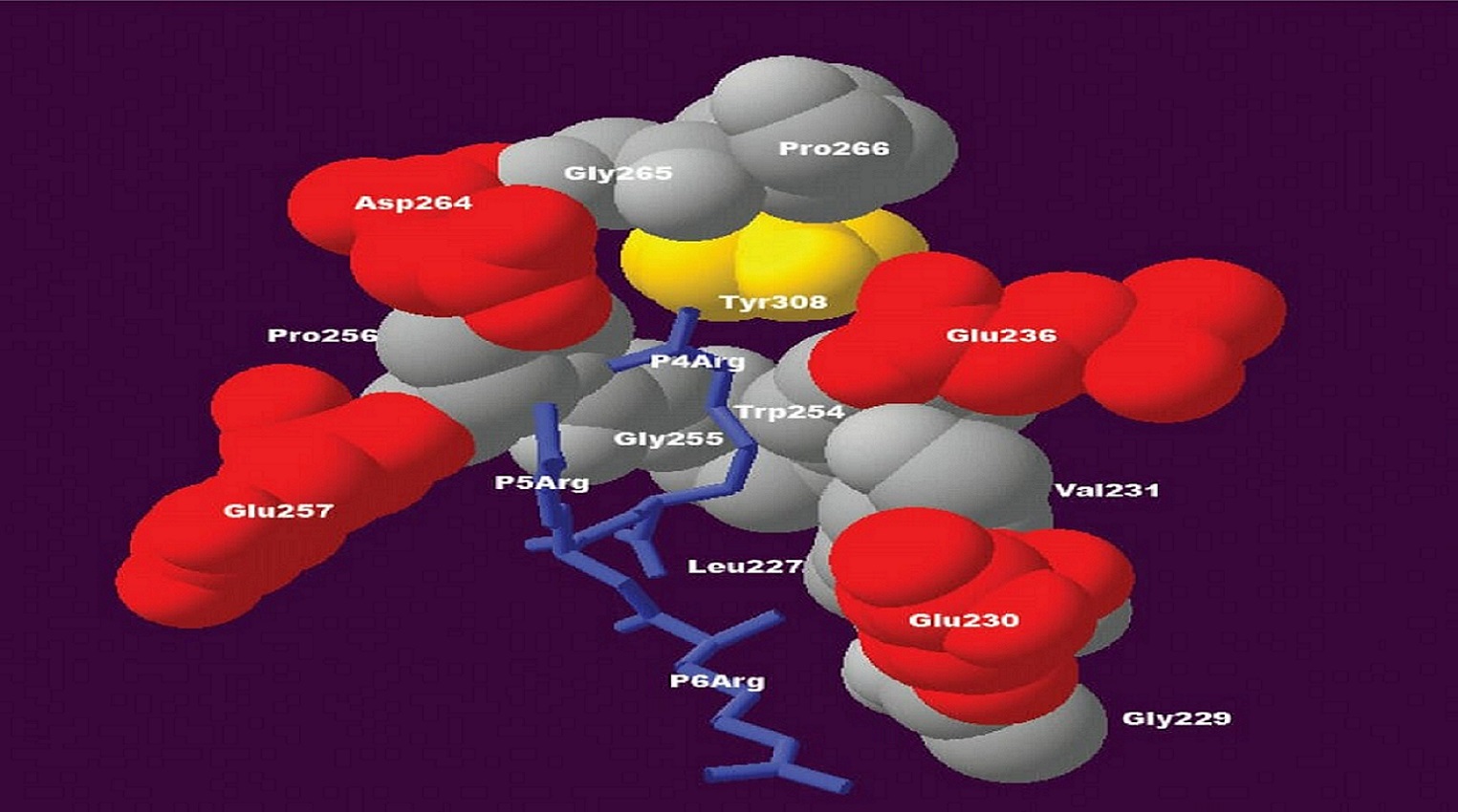 Биохимия для студентов медицинских специальностей