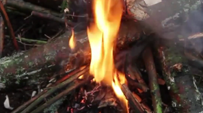 История и технологии выживания (Безопасность жизнедеятельности)