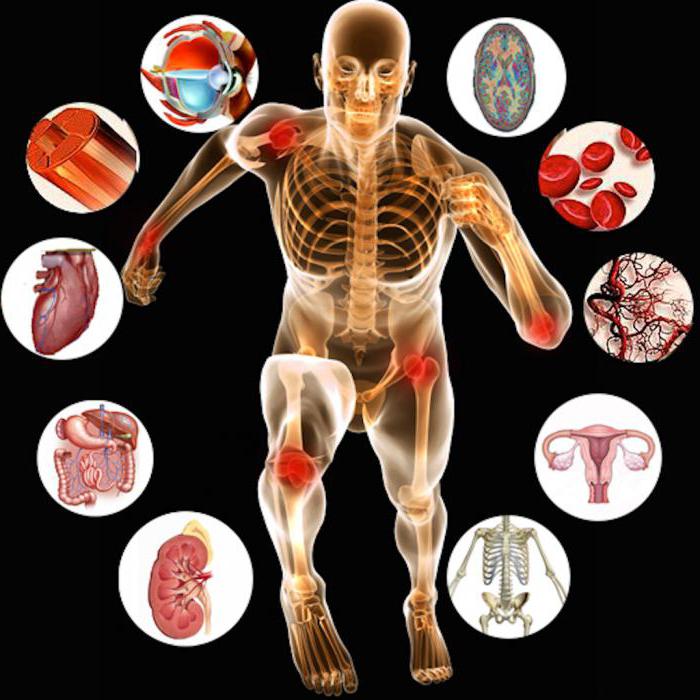 Адам және жануарлар физиологиясы 