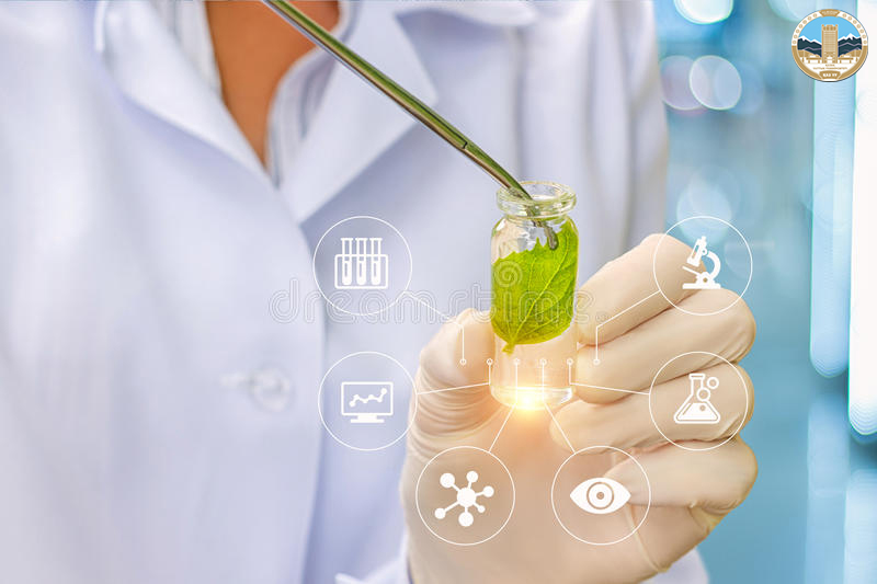 Биотехнология негіздері: жоғарғы және төменгі сатыдағы өсімдіктер биотехнологиясы