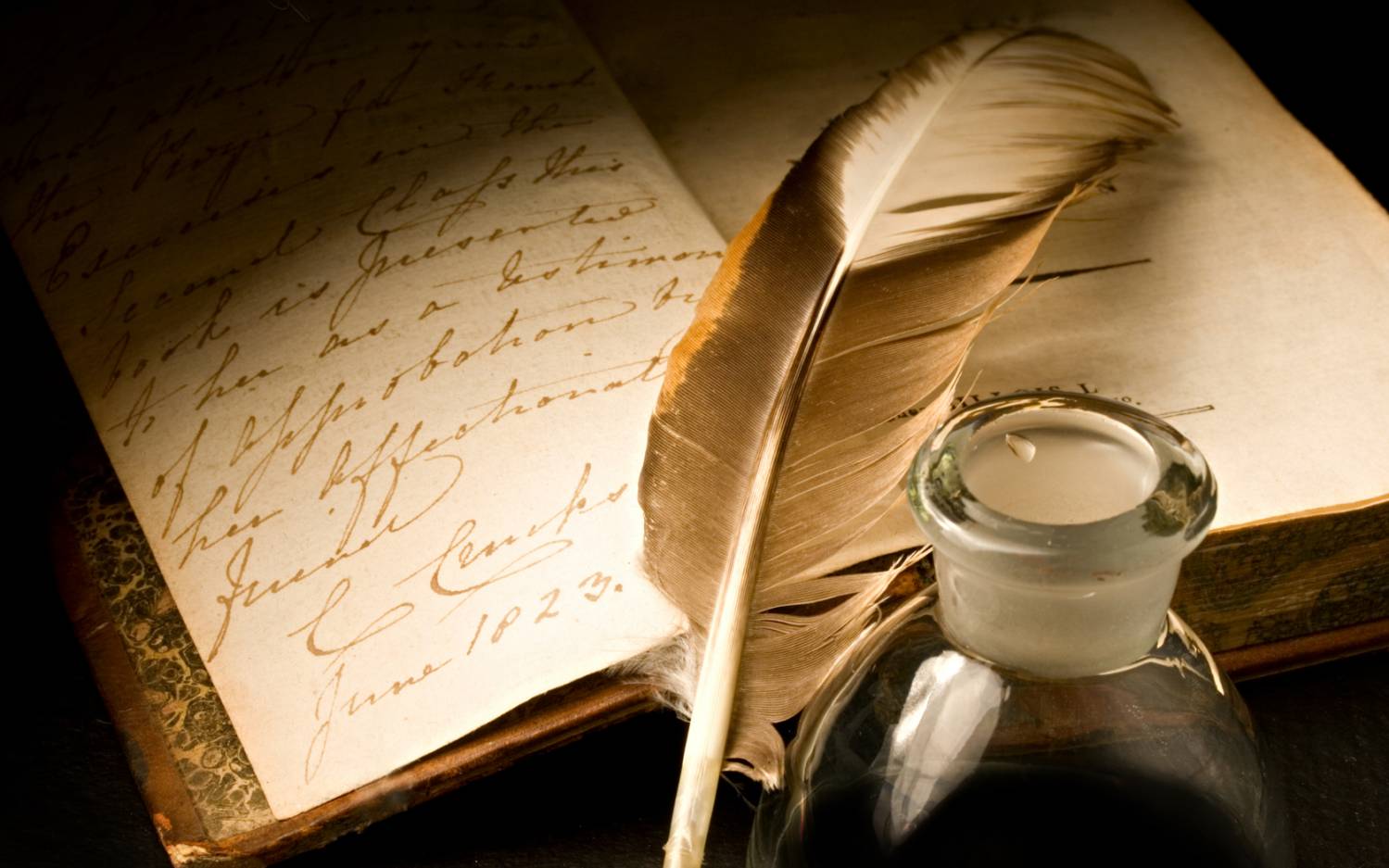 Введение в литературоведение