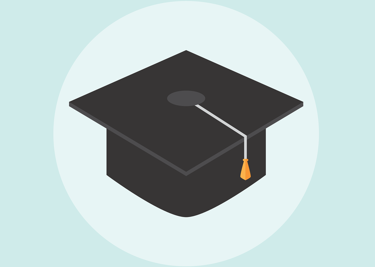 Жоғары мектеп педагогикасы