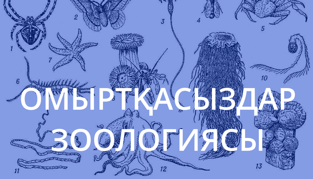 Омыртқасыздар зоологиясы